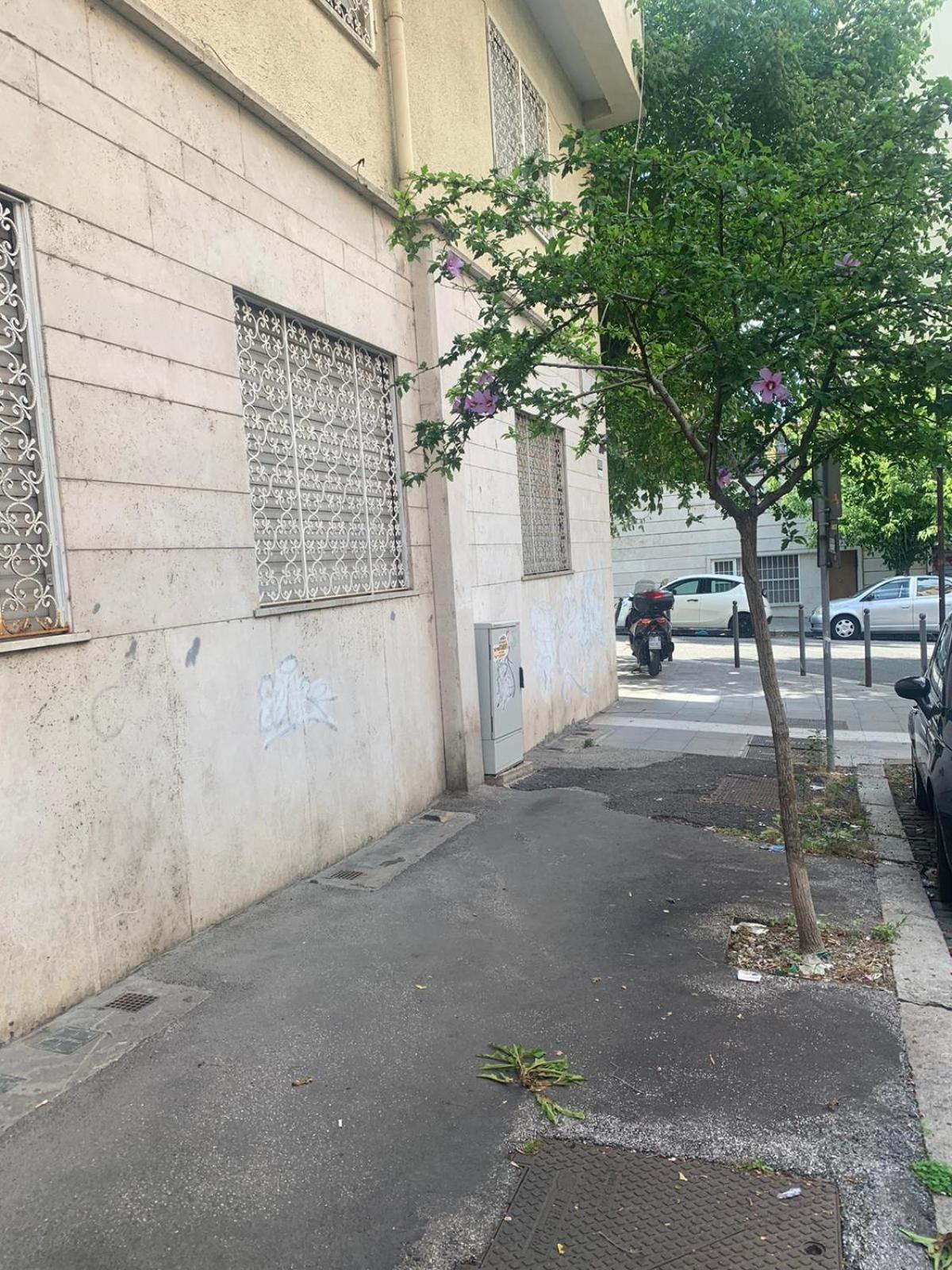 Roma Piazza Bologna - Intero Appartamento Eksteriør billede